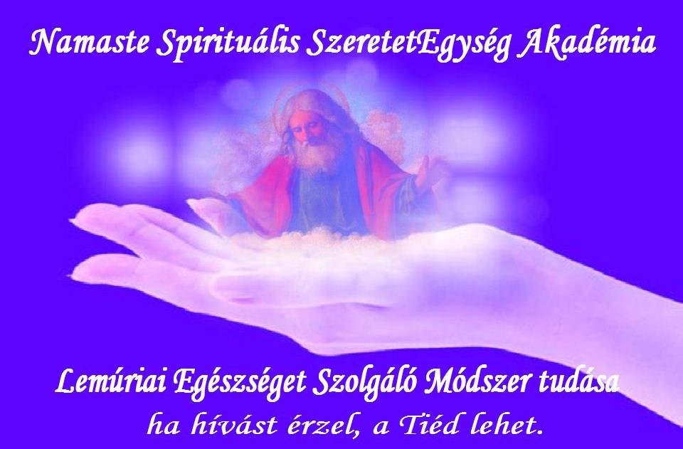 LemErgy ESZM kép felirattal