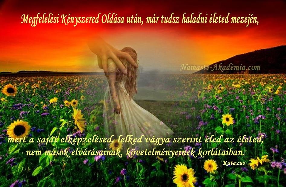 MEGFELÉSI KÉNYSZER  szöveggel