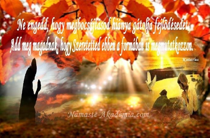 Megbocsájtás nn