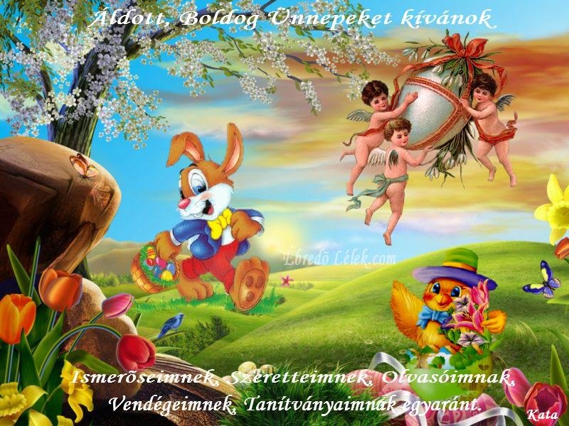 BOLDOG ÜNNEPEKET ÉL