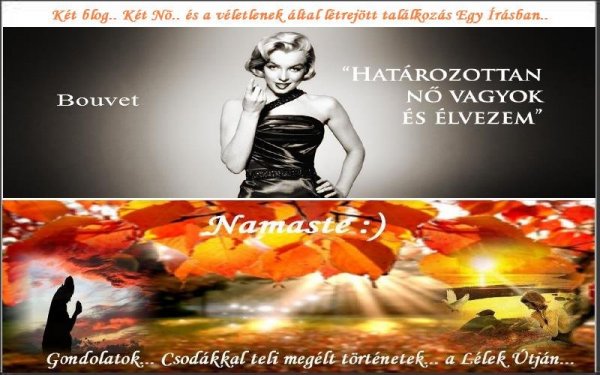 Bouvet Namaste